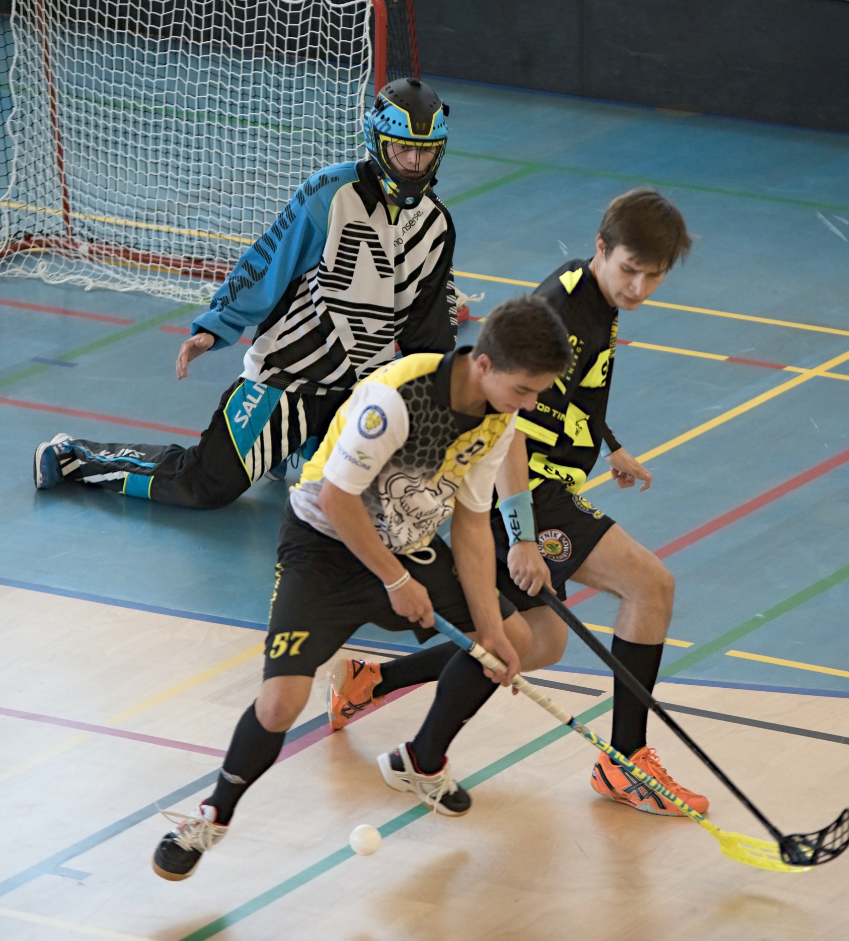 JunciLedec241015 135